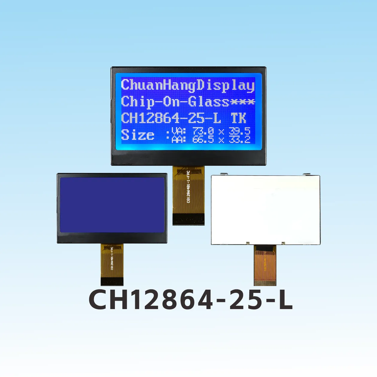 CH12864-25- L 12864 affichage prix